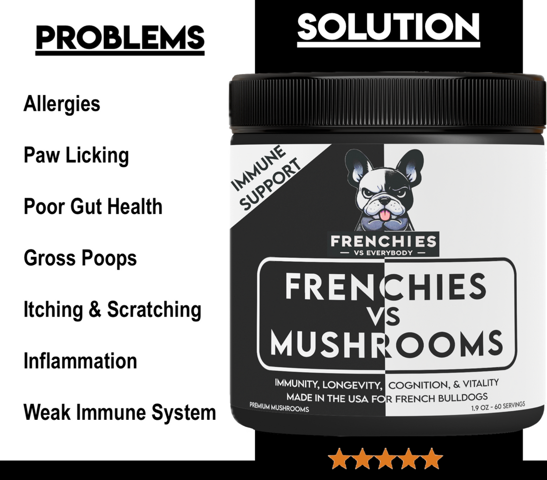 French bulldog supplement and vitamins 