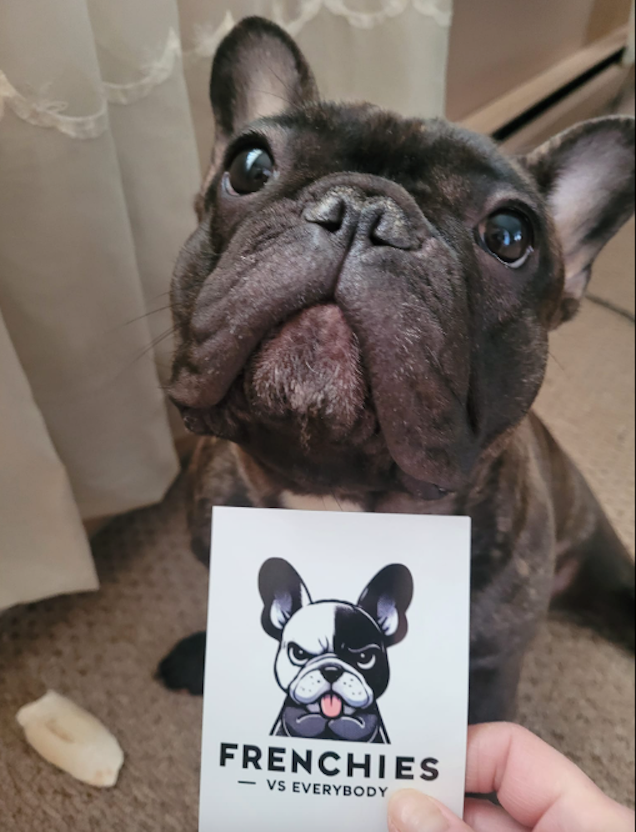 "Magic" Talking Frenchie Refrigerator Magnet