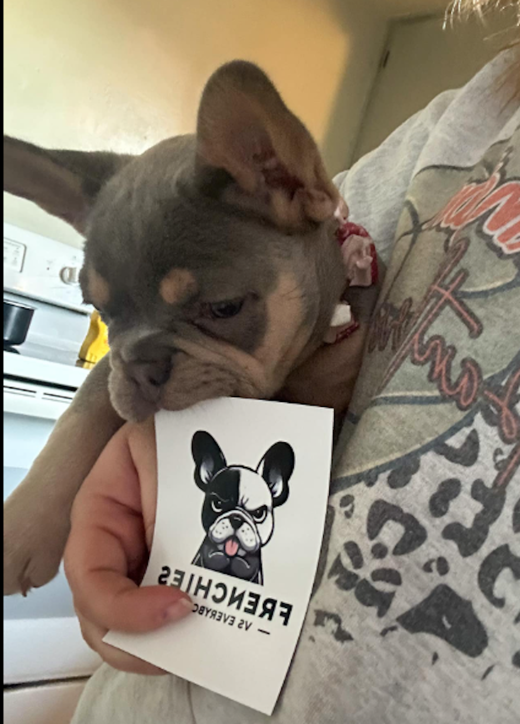 "Magic" Talking Frenchie Refrigerator Magnet