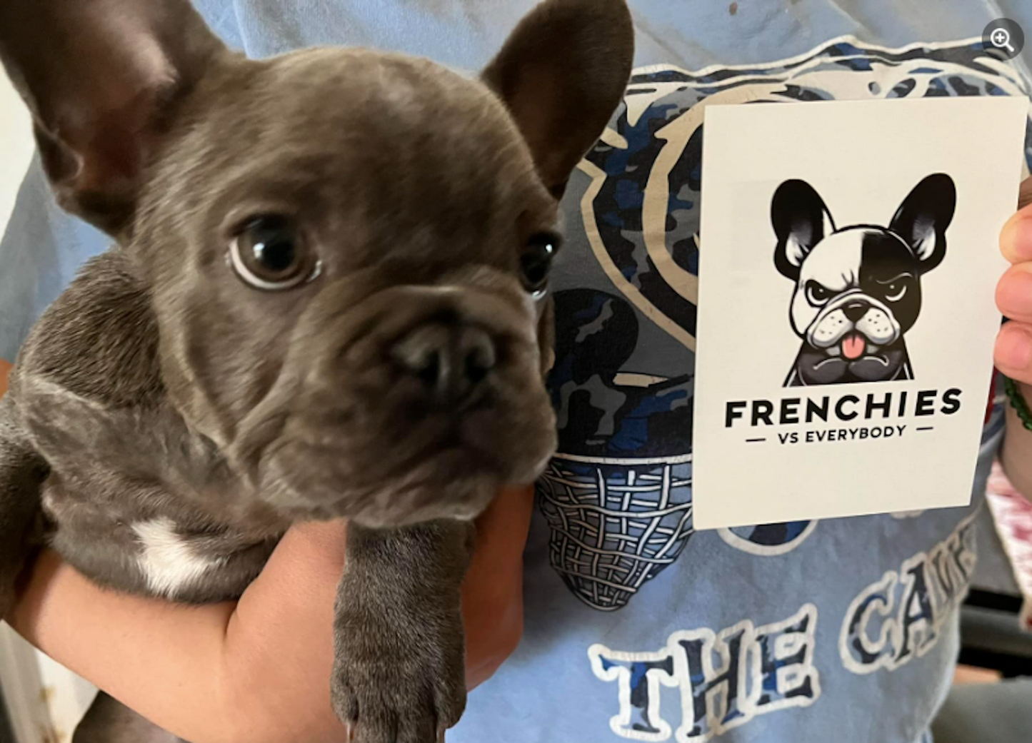 "Magic" Talking Frenchie Refrigerator Magnet