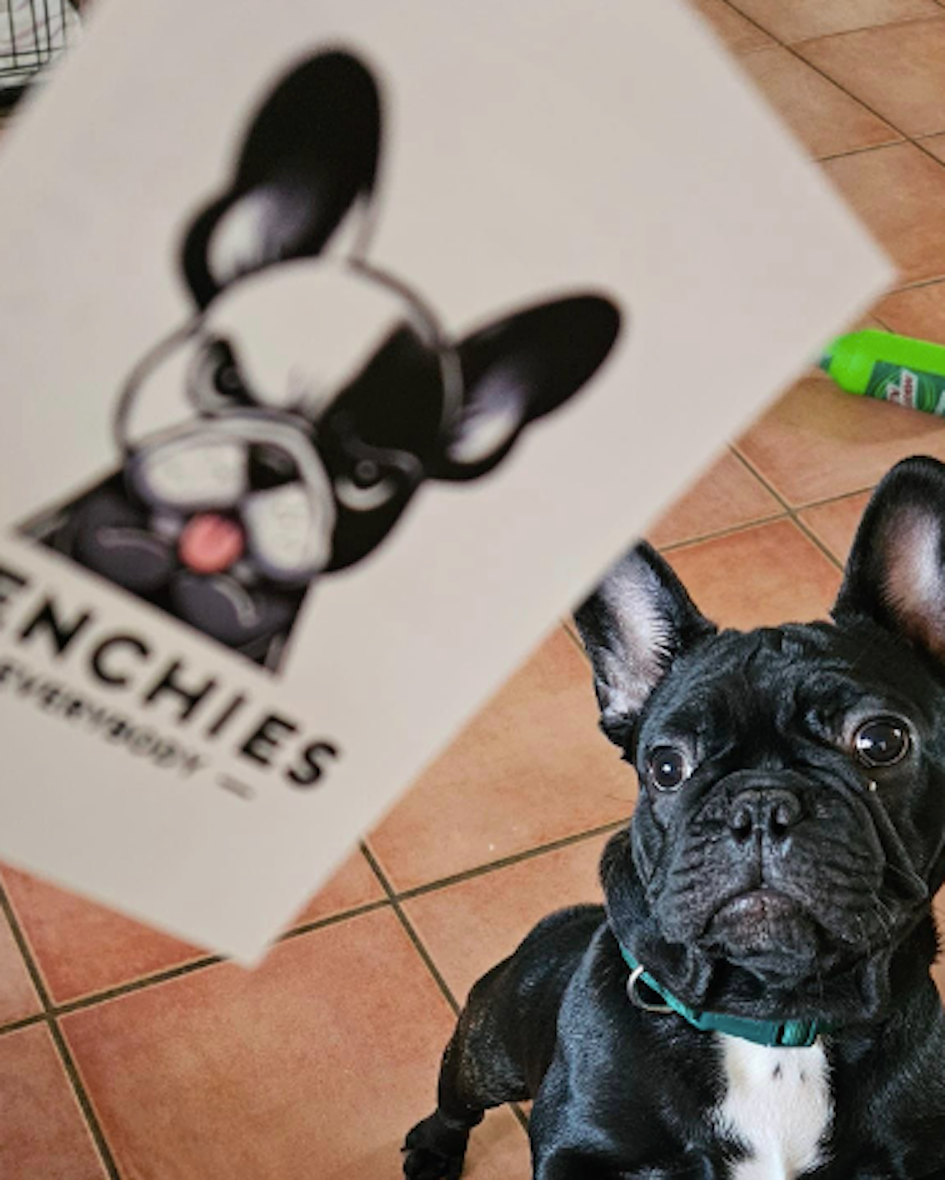 "Magic" Talking Frenchie Refrigerator Magnet