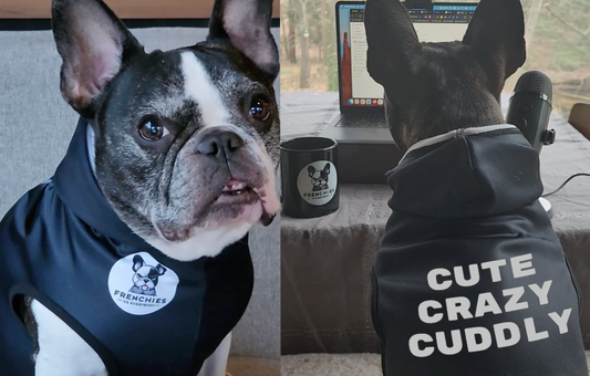 Cute, Crazy, Cuddly:  Frenchie Hoodie