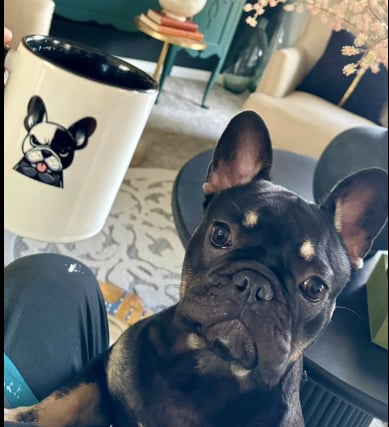 Frenchies vs Everybody - black & white coffee mug