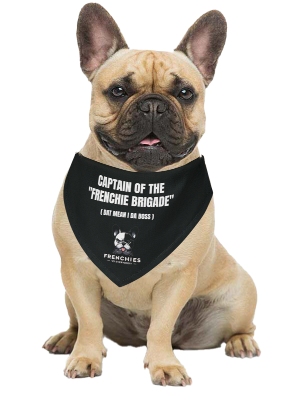 Frenchies vs Everybody "Captain of the Frenchie Brigade" Bandana Collar