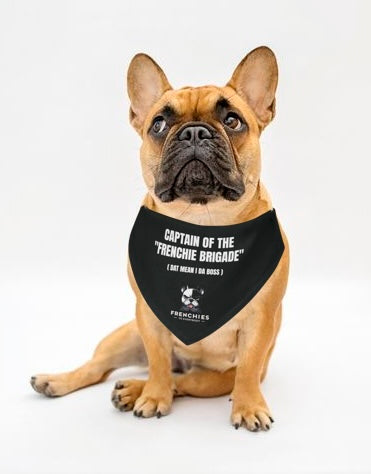 Frenchies vs Everybody "Captain of the Frenchie Brigade" Bandana Collar