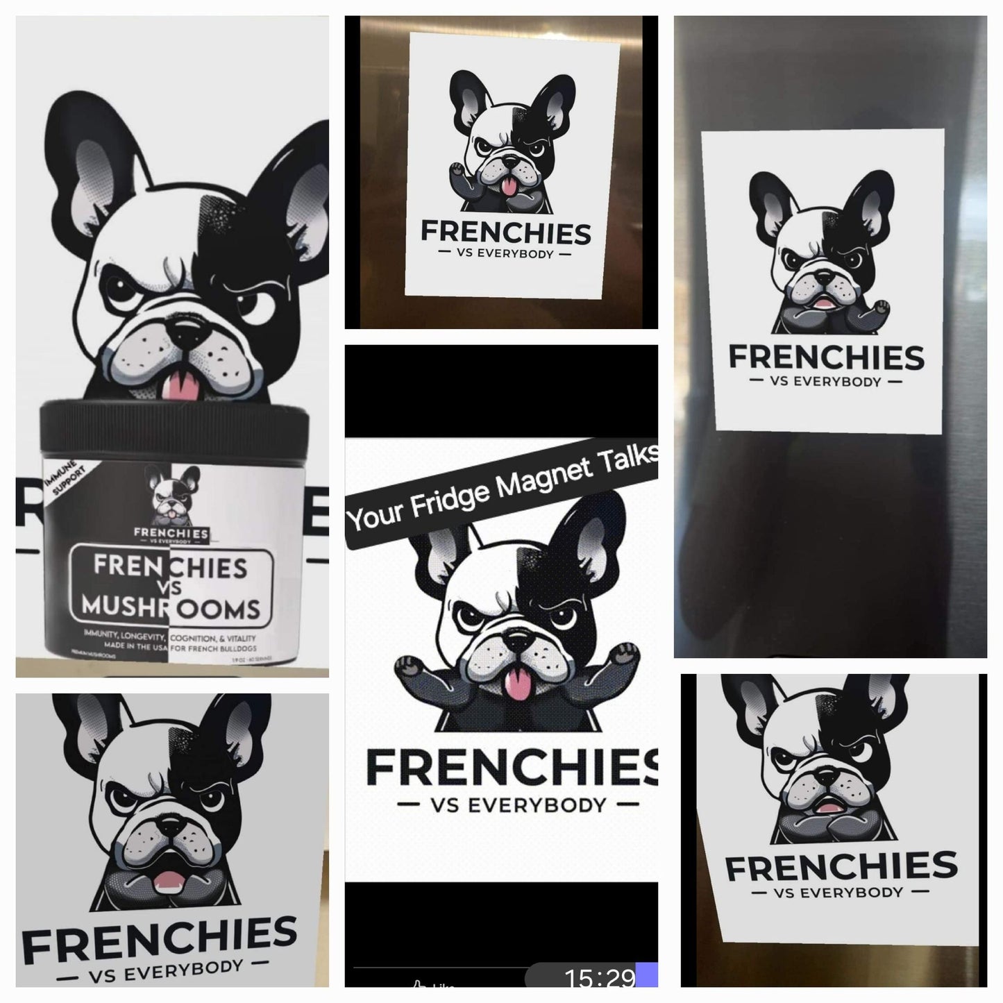 "Magic" Talking Frenchie Refrigerator Magnet